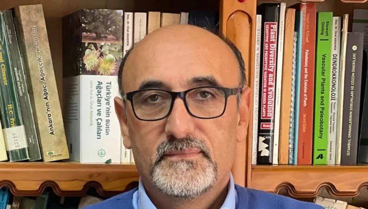 Batı sahil kentlerine göçün artması yangınların boyutunu değiştirdi!