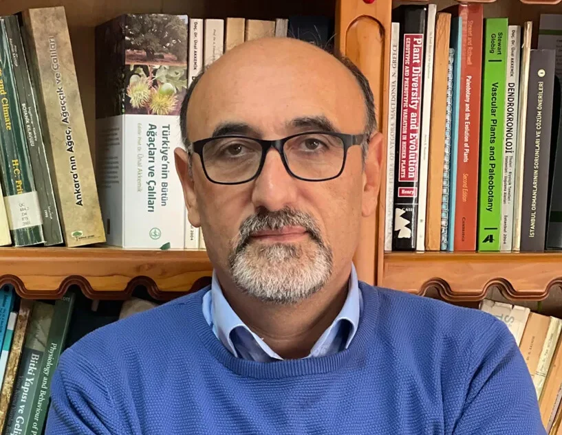 Batı sahil kentlerine göçün artması yangınların boyutunu değiştirdi!