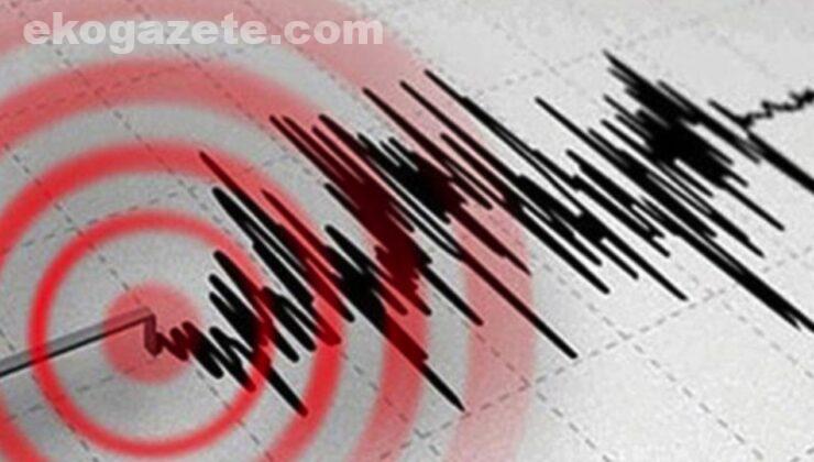 Deprem… Gaziantep Sallandı