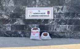 Gaziantep jandarmadan Fıstık hırsızı 6 şahsa suçüstü