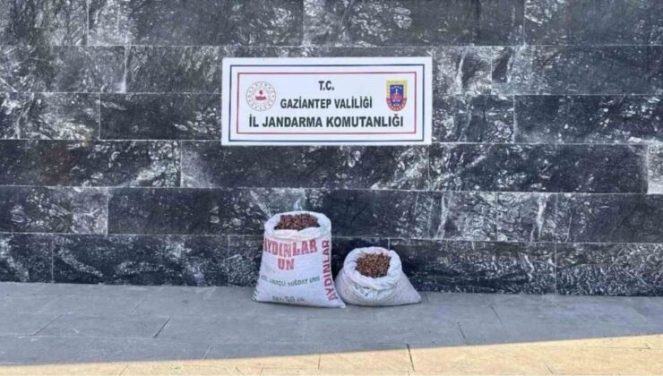Gaziantep jandarmadan Fıstık hırsızı 6 şahsa suçüstü