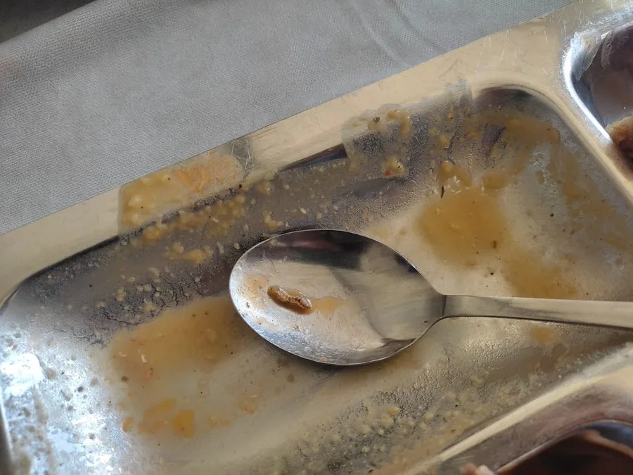 Gaziantep Üniversitesi’nde Kurtlu Yemek Skandalı