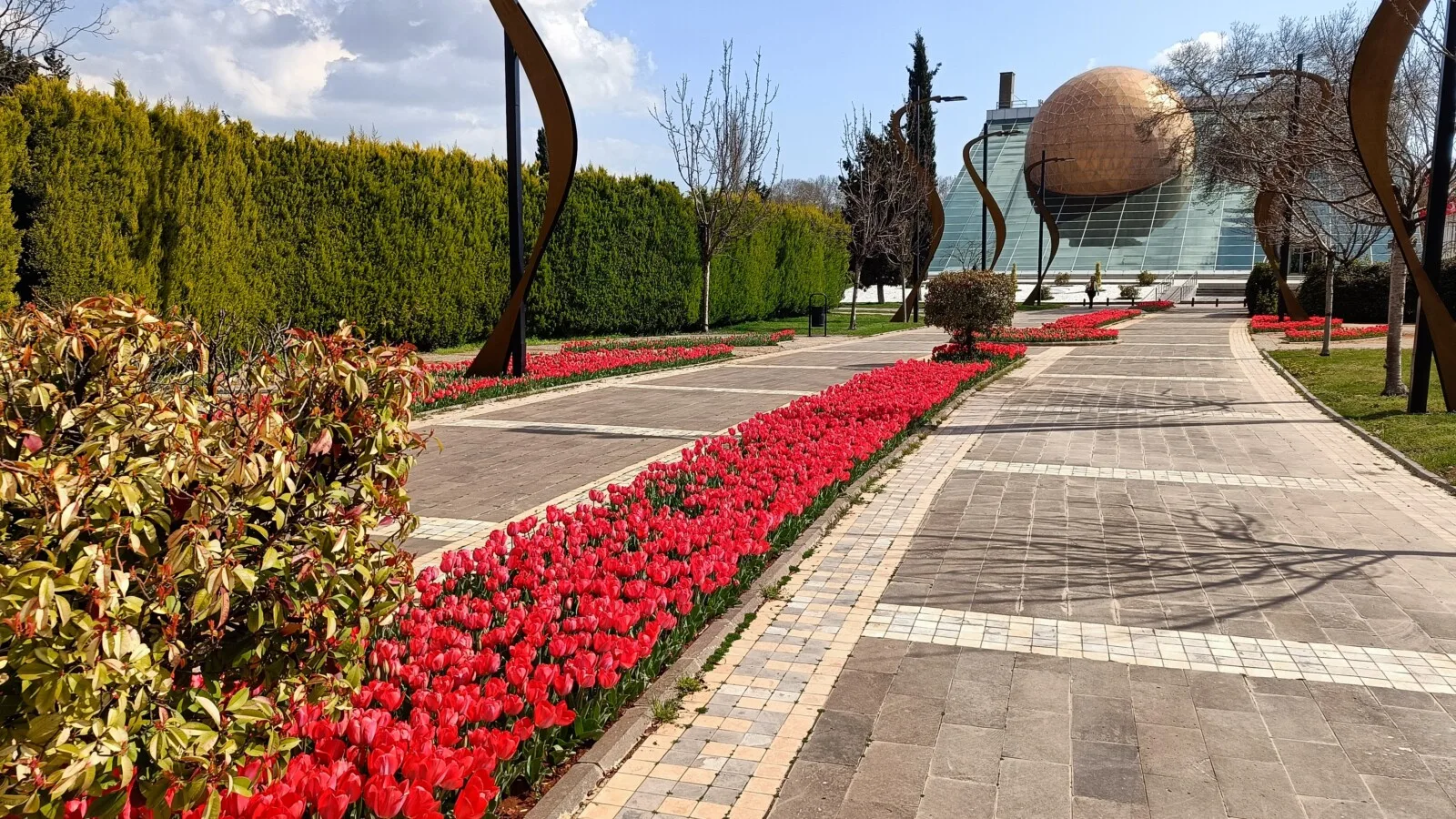 IMG 20230327 150146