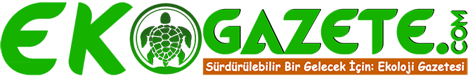 EkoGazete: Çevre Duyarlılığının ve Sürdürülebilirliğin Yolu