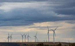 Güneydoğu Anadolu’da Rüzgar ve Güneş Enerjisi Projeleri Yükseliyor