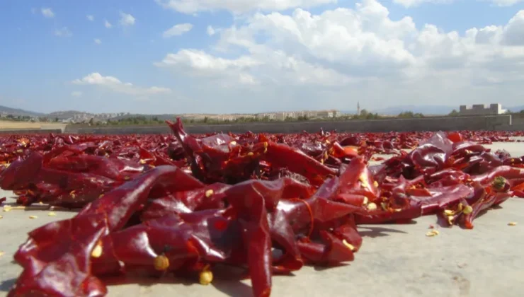 Gaziantep’te Pul Biber Üreten İşletmelere denetim Yapıldı
