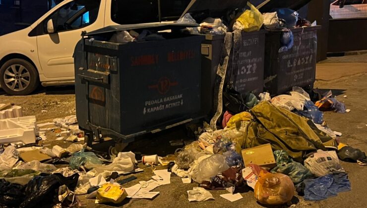 Atık Sorunu Büyüyor: Çöp Konteynerlerinin Yetersizliği Mahalleleri Zorluyor