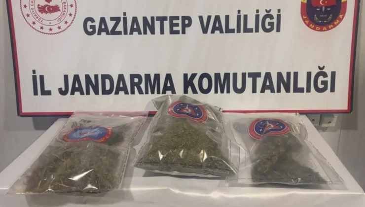 Uyuşturucu Taciri 1150 Gr Esrar İle Yakalandı