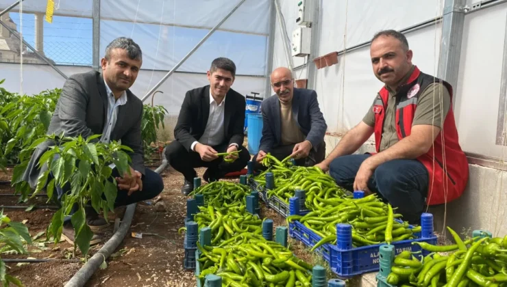Yavuzeli’de Çevre Dostu Tarım Seferberliği