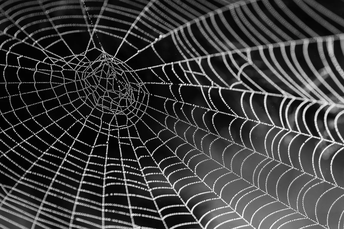 pexels pixabay 34225