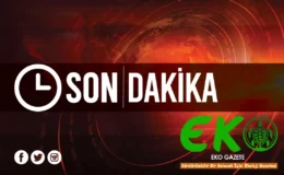 Gaziantep’te Zincirleme Kaza: 1 Tır Alev Aldı