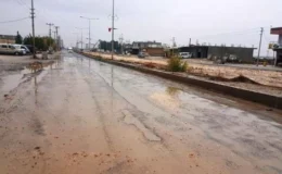 Şanlıurfa’da Yağmur Hayatı Olumsuz Etkiledi: Elektrikler Kesildi, Trafik Durma Noktasına Geldi