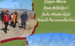Gaziantep’te Yeni Mera Alanı Tahsis Edildi