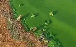 Doğanpınar Barajı Neden Yeşile Döndü? Gaziantep’te Gizemli Kirlilik Alarmı!