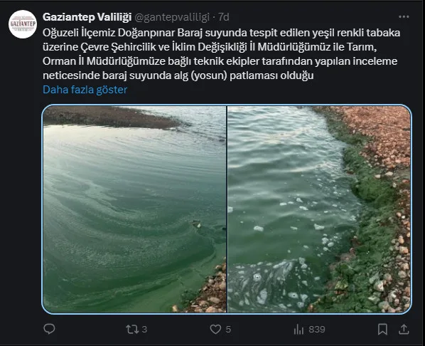 Ekran görüntüsü 2024 11 11 194656