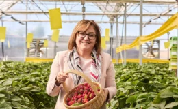 Metan Gazından Çileğe: Gaziantep’in Çevre Dostu Tarım Mucizesi
