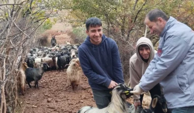 Şırnak’ta Küçükbaş Hayvanlar İçin Sağlık Seferberliği!