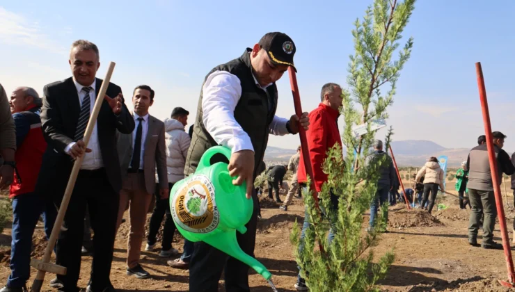 Kilis’te 11 Kasım Milli Ağaçlandırma Günü’nde Fidanlar Toprakla Buluştu