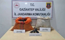 Zeytin Hırsızları Çökertildi: JASAT, Şüpheliyi Suçüstü Yakaladı