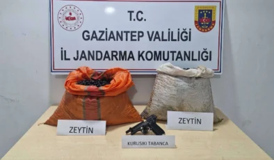 Zeytin Hırsızları Çökertildi: JASAT, Şüpheliyi Suçüstü Yakaladı