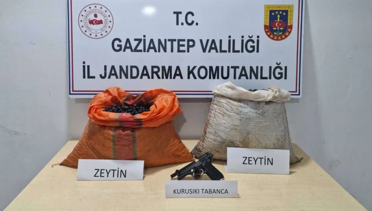 Zeytin Hırsızları Çökertildi: JASAT, Şüpheliyi Suçüstü Yakaladı