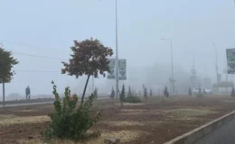 Diyarbakır’da Yoğun Sis Hayatı Olumsuz Etkiledi