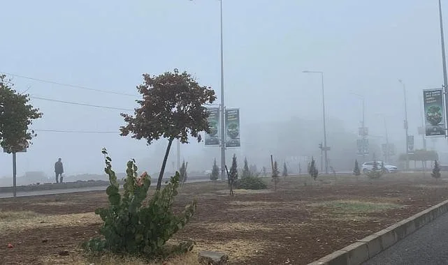 Diyarbakır’da Yoğun Sis Hayatı Olumsuz Etkiledi