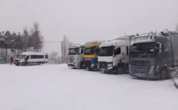 Kış Koşullarında Yük Taşımacılığı: Güneydoğu Şoförleri Kar Takip Sistemi Talep Ediyor