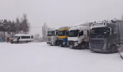 Kış Koşullarında Yük Taşımacılığı: Güneydoğu Şoförleri Kar Takip Sistemi Talep Ediyor