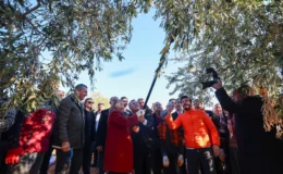 Başkan Şahin, Nizip Zeytin Hasadına Katılarak Yeşil Ekonomi Vurgusu Yaptı