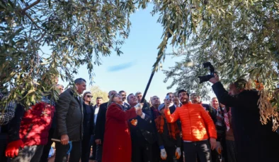 Başkan Şahin, Nizip Zeytin Hasadına Katılarak Yeşil Ekonomi Vurgusu Yaptı