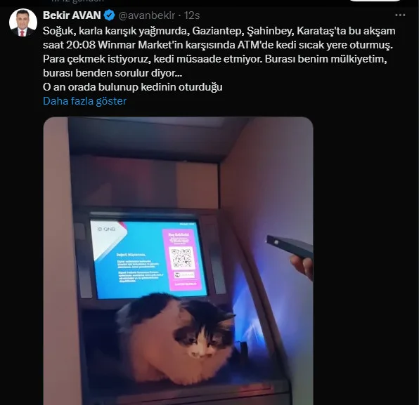 Ekran görüntüsü 2024 12 17 104408