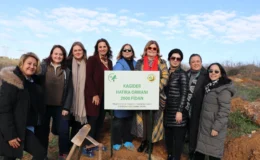 KAGİDER’den Gebze’de 2000 Fidanlık Orman Projesi