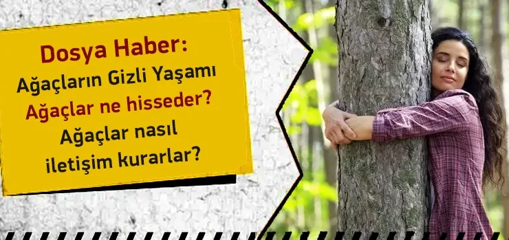 Ağaçların Gizli Yaşamı