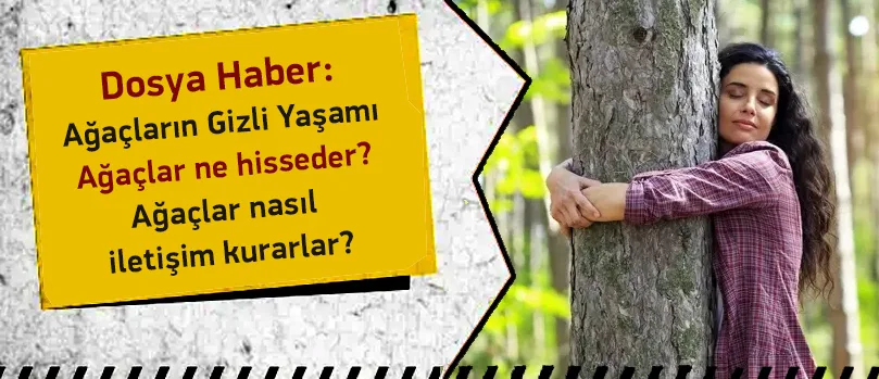 Ağaçların Gizli Yaşamı