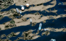 Her Dakika Okyanuslara Bir Çöp Kamyonu Plastik Atılıyor