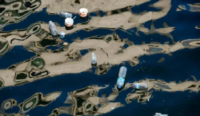 Her Dakika Okyanuslara Bir Çöp Kamyonu Plastik Atılıyor