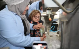 Doğadan Sofraya: Gaziantep Nanesi Hijyenik Üretimle Dünya Pazarında