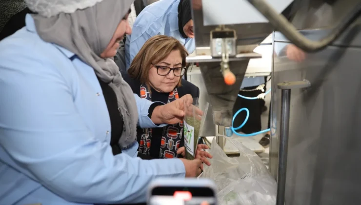 Doğadan Sofraya: Gaziantep Nanesi Hijyenik Üretimle Dünya Pazarında