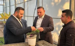 Kilis Kendi Üretimiyle Yeşilleniyor! Hem Ekonomik Hem Çevresel Kazanç…