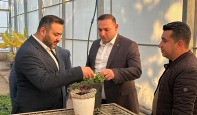 Kilis Kendi Üretimiyle Yeşilleniyor! Hem Ekonomik Hem Çevresel Kazanç…