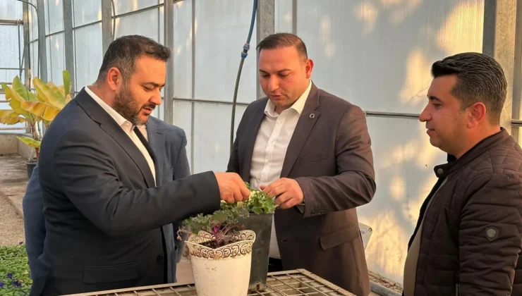 Kilis Kendi Üretimiyle Yeşilleniyor! Hem Ekonomik Hem Çevresel Kazanç…