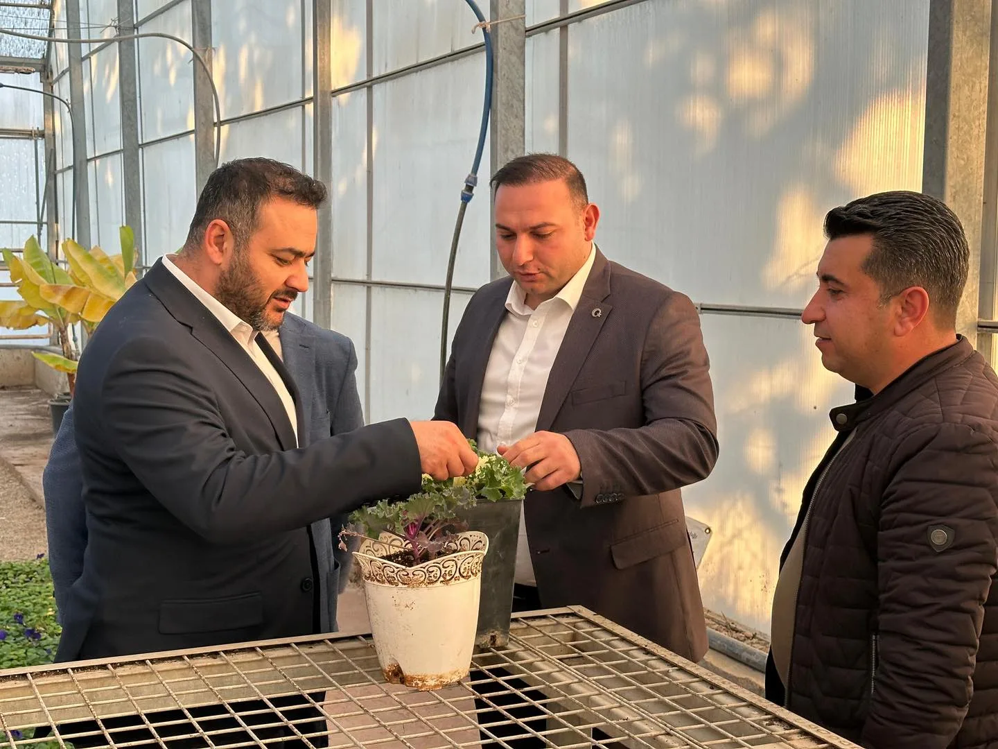Kilis Kendi Üretimiyle Yeşilleniyor! Hem Ekonomik Hem Çevresel Kazanç…