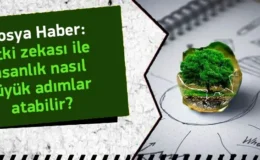 Bitki Zekası İle İnsanlık Nasıl Büyük Adımlar Atabilir?