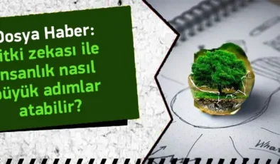 Bitki Zekası İle İnsanlık Nasıl Büyük Adımlar Atabilir?