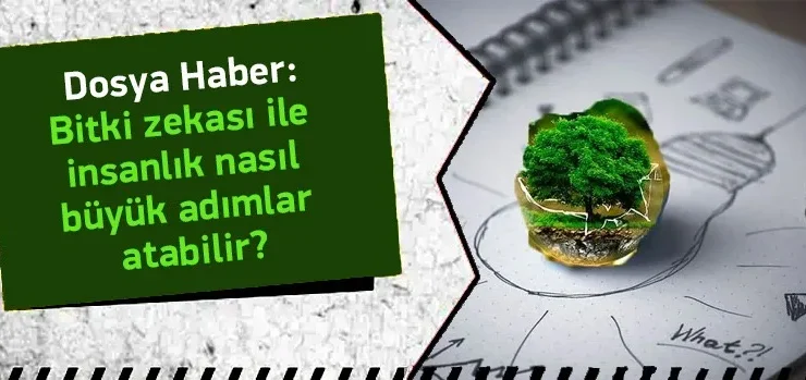Bitki Zekası İle İnsanlık Nasıl Büyük Adımlar Atabilir?