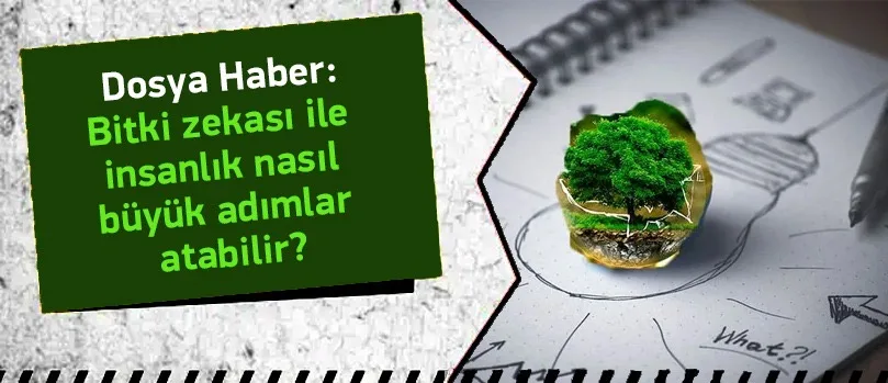 Bitki Zekası İle İnsanlık Nasıl Büyük Adımlar Atabilir?