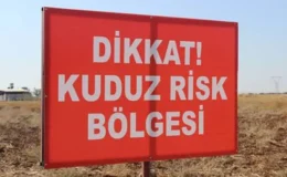 Şanlıurfa’da Kuduz Alarmı! 3 Kişi Yaralandı, Köy Karantinaya Alındı