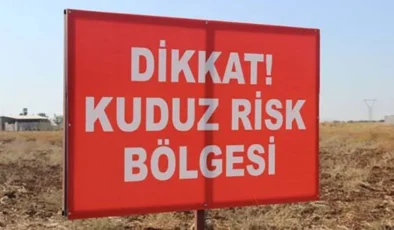 Şanlıurfa’da Kuduz Alarmı! 3 Kişi Yaralandı, Köy Karantinaya Alındı