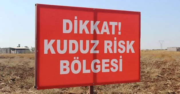 Şanlıurfa’da Kuduz Alarmı! 3 Kişi Yaralandı, Köy Karantinaya Alındı